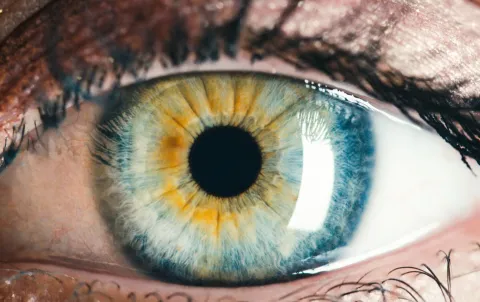 EYE